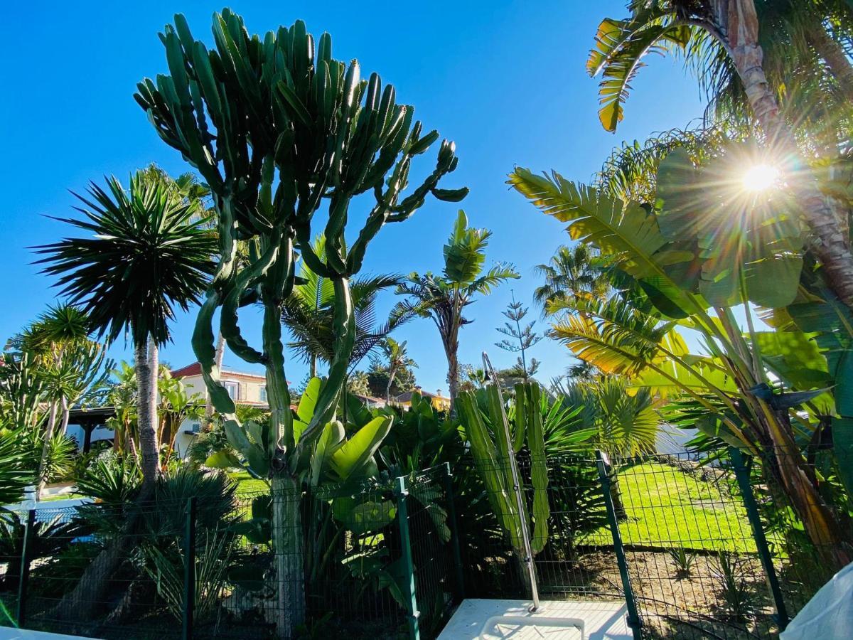 Studio-Near The Beach, Bbq And Seawater Pool Marbella Dış mekan fotoğraf