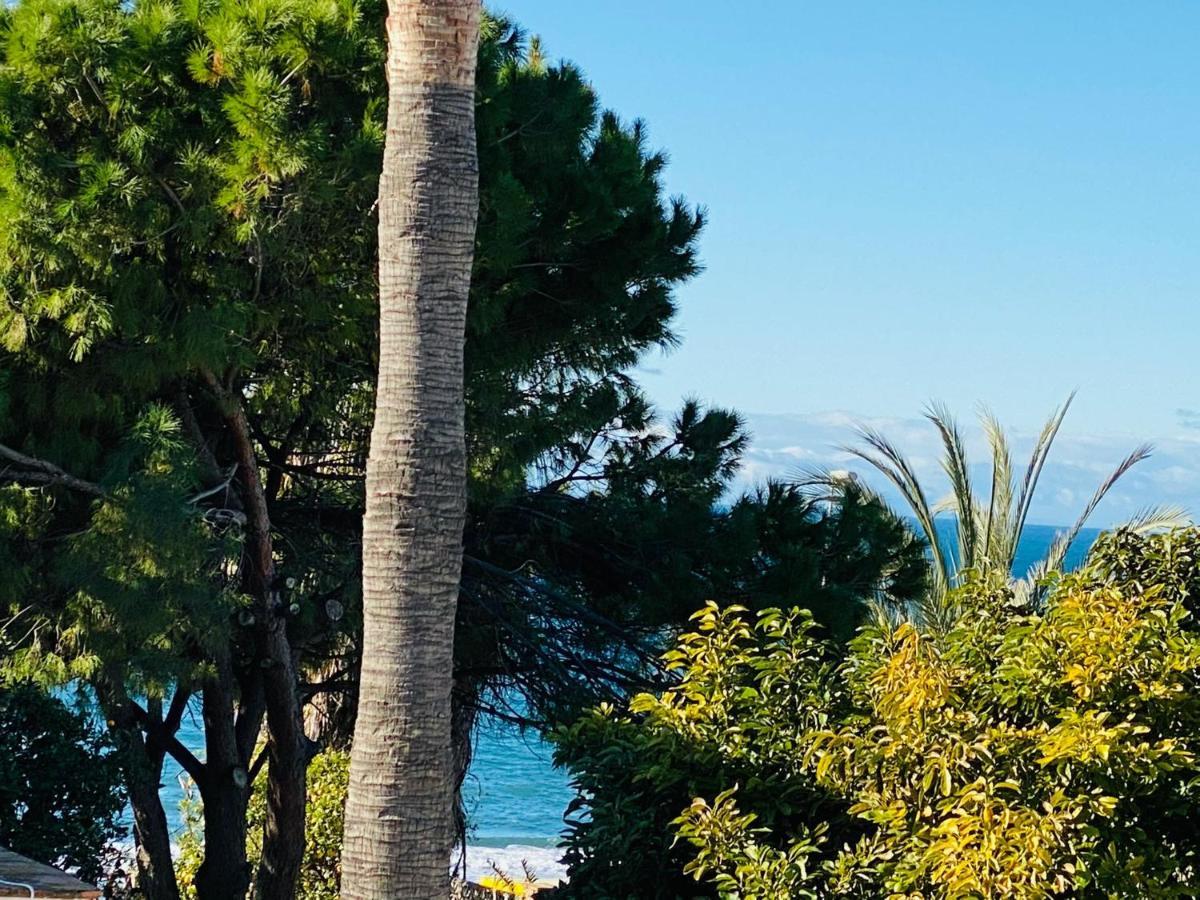 Studio-Near The Beach, Bbq And Seawater Pool Marbella Dış mekan fotoğraf
